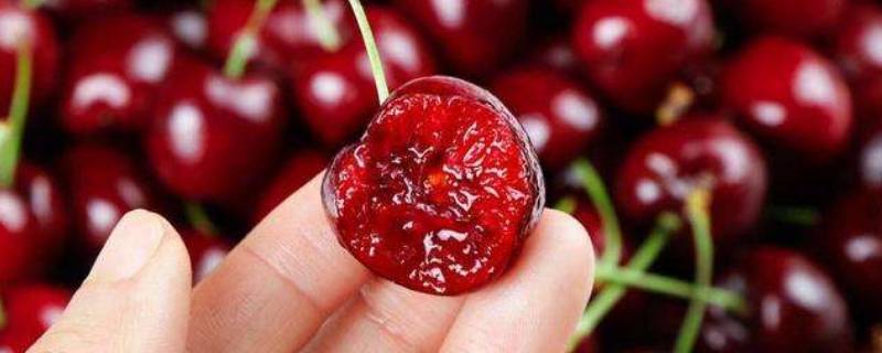 skeena车厘子是什么品种（skeena车厘子叫什么）