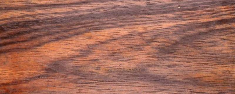 可乐豆是什么木材（可乐豆木家具）