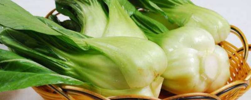 冬天的菜有哪些种类 冬天的菜有哪些种类图片