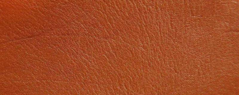 皮革发霉怎么处理 汽车内饰皮革发霉怎么处理