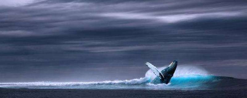 北冥是哪个地方（北冥对应的地方）