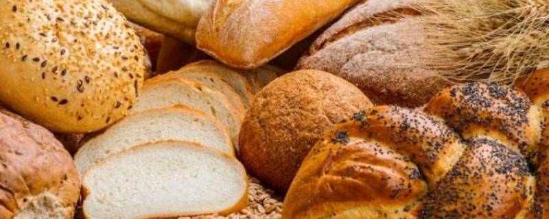 陈面包变硬的原因是什么（十万个为什么陈面包为什么会变硬?）