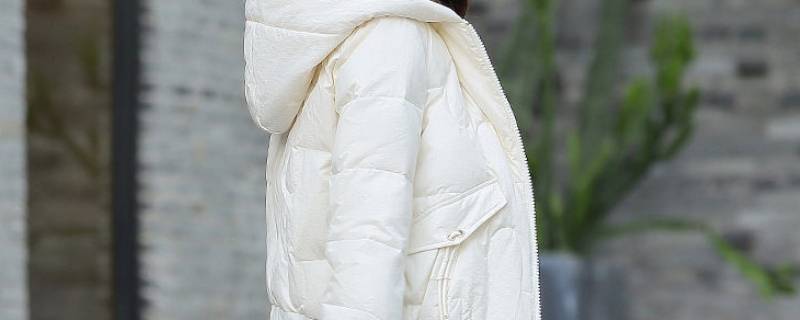 羽绒服淋雨了怎么办（下雨天淋了雨的羽绒服怎么办）