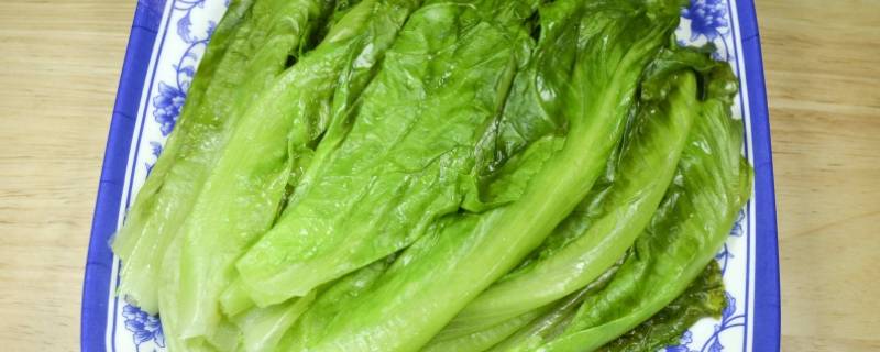 什么菜煮不熟（什么菜煮不熟脑筋急转弯答案）