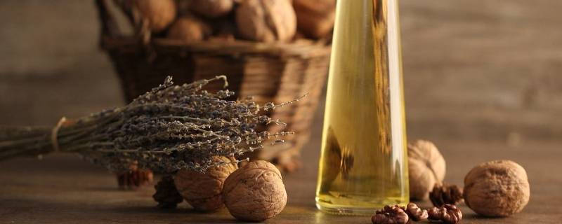 核桃能榨油吗（鲜核桃能榨油吗）