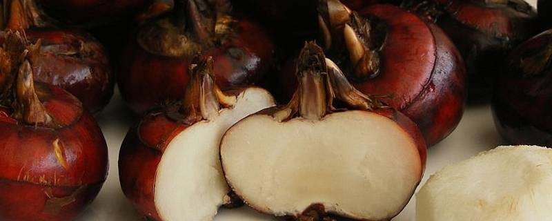 糍米是什么水果 糍粑是水果吗