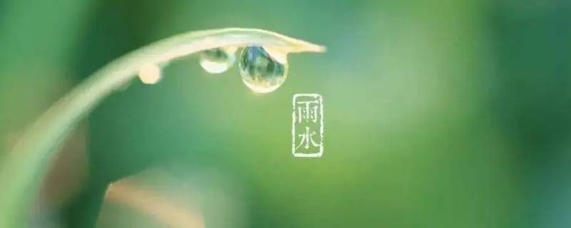 雨水节气吃什么 雨水节气吃什么最合适