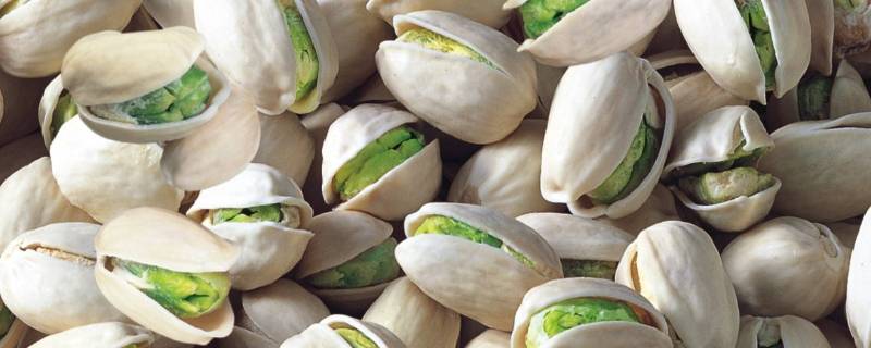 开心果是什么意思(形容一个人开心果是什么意思)