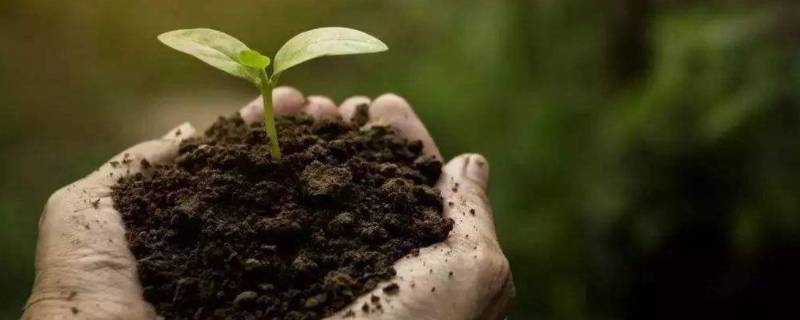 保护土地的建议（保护土地的建议10条）