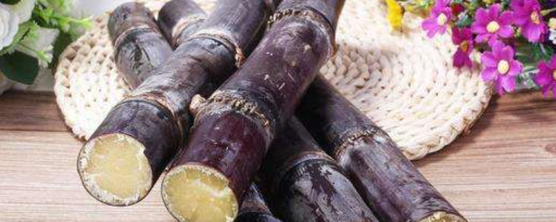 甘蔗头甜还是根甜 甘蔗的头甜还是根甜