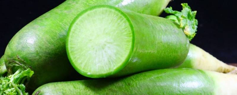 绿萝卜和白萝卜有什么区别（绿萝卜和白萝卜有什么区别各有什么功效）