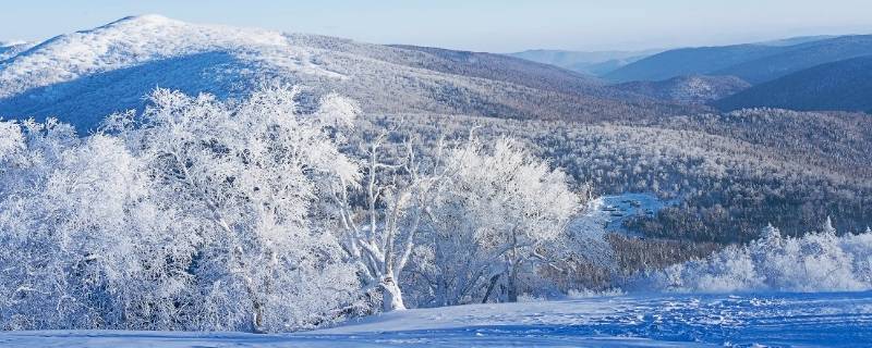 南方的雪和北方的雪各有什么特点 和南方的雪相比北方的雪有什么特点