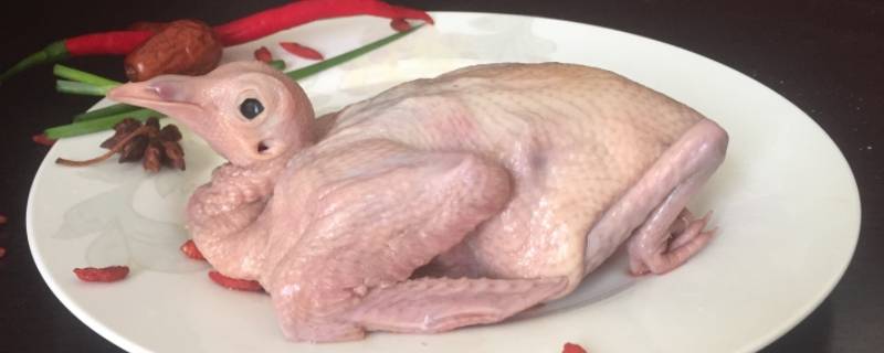 鸽子杀了冰箱冷冻能放多久 鸽子杀了可以放冷冻室吗