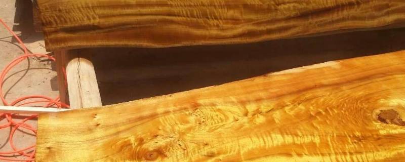 金丝楠木重还是轻（金丝楠木是越重越好吗）