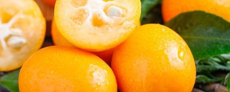 金桔和橘子有什么区别 金桔和橘子的区别