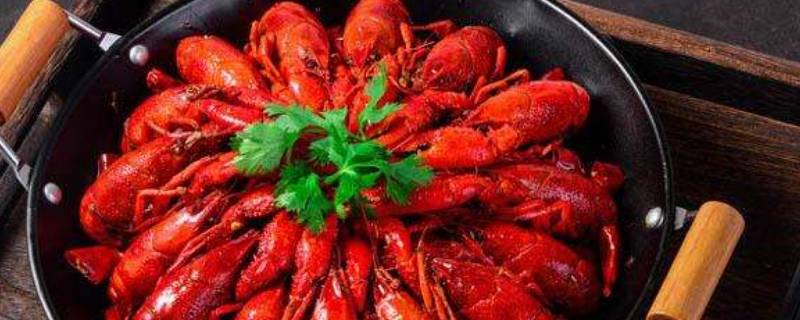 龙虾如何杀和清洗 龙虾怎么清洗和处理