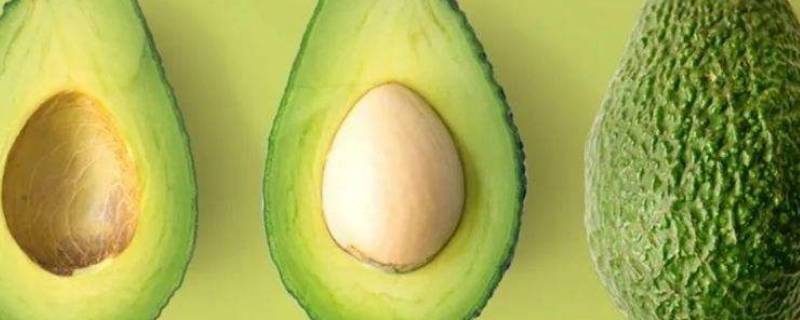 牛油果打开后可以放多久（熟透的牛油果能放多久）