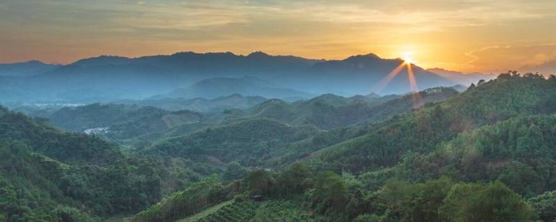 青山有多高（青山有多高?）