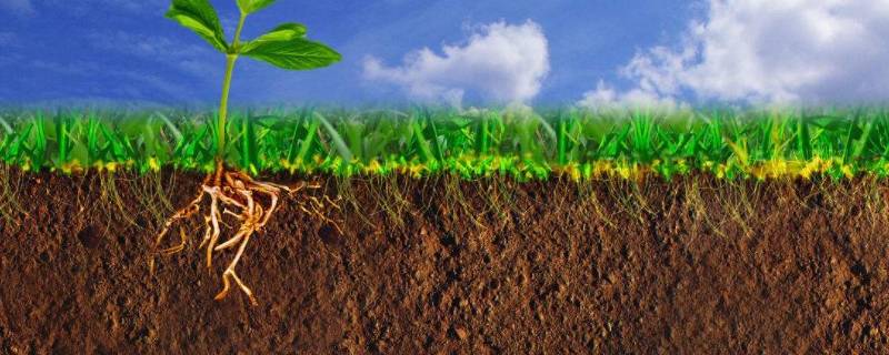 土壤类别 土壤类别一二三类