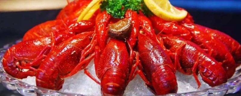 龙虾怎么清洗干净又快 怎样清洗龙虾更干净