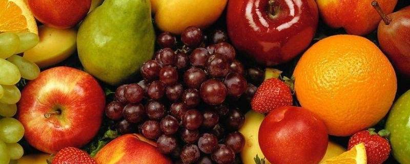 水果园里有什么水果 水果园里有什么水果果是什么