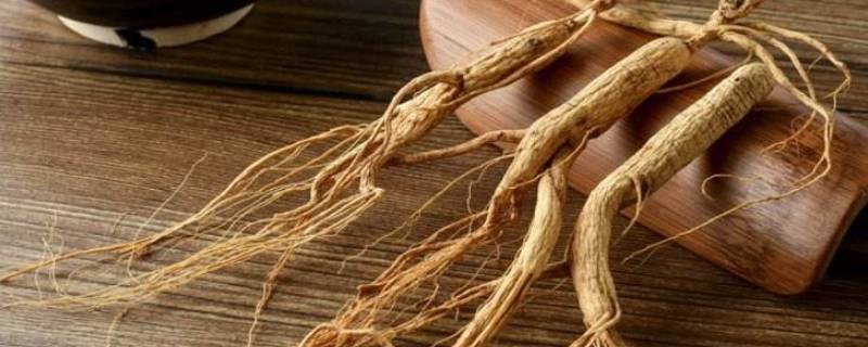 干人参的保质期限 干人参有没有保质期限