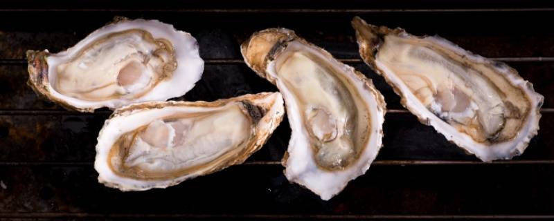 生蚝和海蛎子怎么区分（生蚝和海蛎子怎么区分外表）