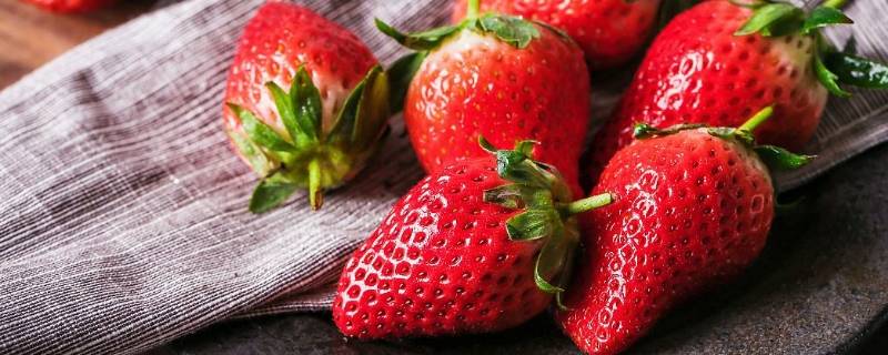 冬天有草莓采摘吗（夏天采摘草莓）