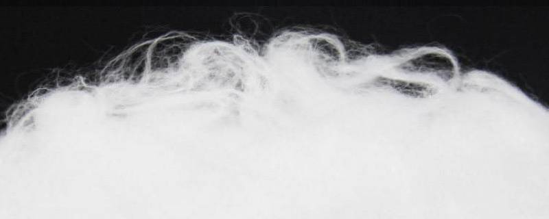 羽绒丝棉是什么棉（羽绒蚕丝棉是什么）