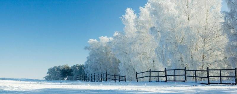 雪是什么味道（雪是什么味道的故事）