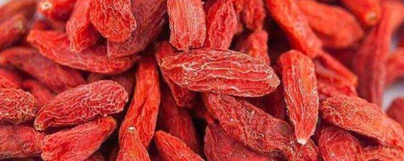 枸杞保质期（枸杞保质期一般是几年）