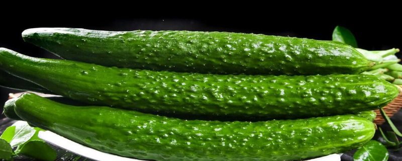 葫芦科蔬菜有哪些 葫芦科蔬菜的特点及分类