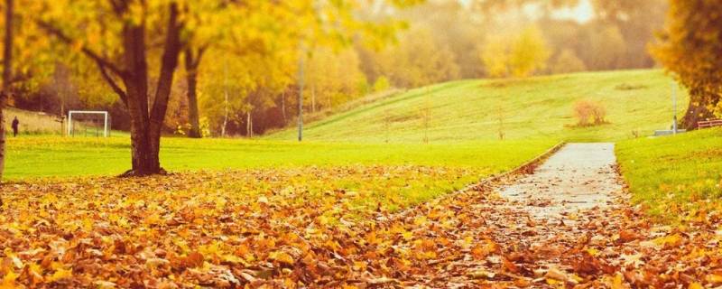 秋天天气的变化 秋天天气的变化儿童画