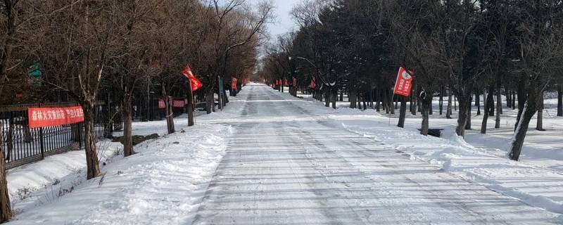 下雨雪会不会化（下雪后下雨雪会化吗）