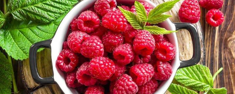 树莓直接洗一洗就能吃吗（树莓的正确吃法怎么洗）