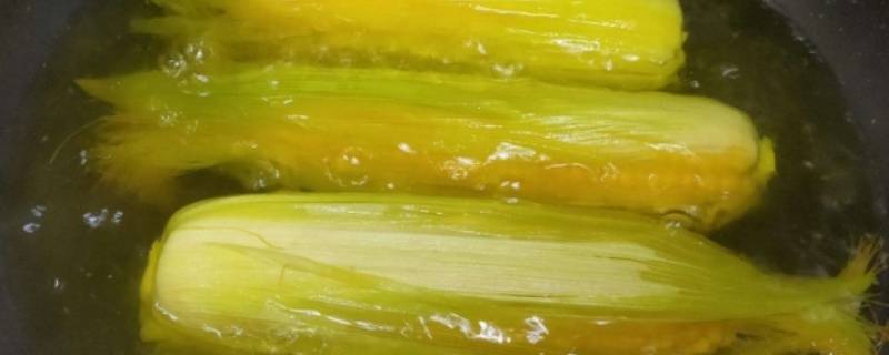 熟玉米放冰箱冷藏可以几天 熟玉米放冰箱冷藏能放多久