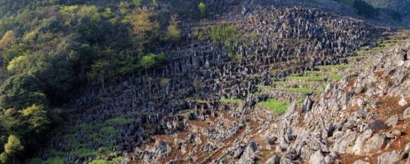 石漠化原因 土壤石漠化原因