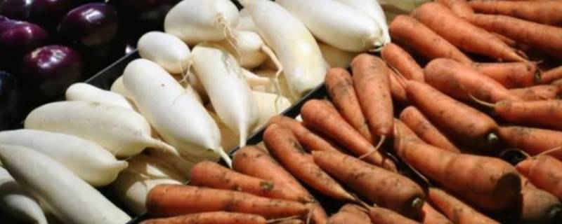 地下茎类蔬菜有哪些（地下茎的蔬菜）