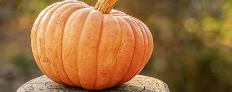 南瓜蒸熟冷冻还是生的冷冻（南瓜生冷冻还是熟冷冻好）