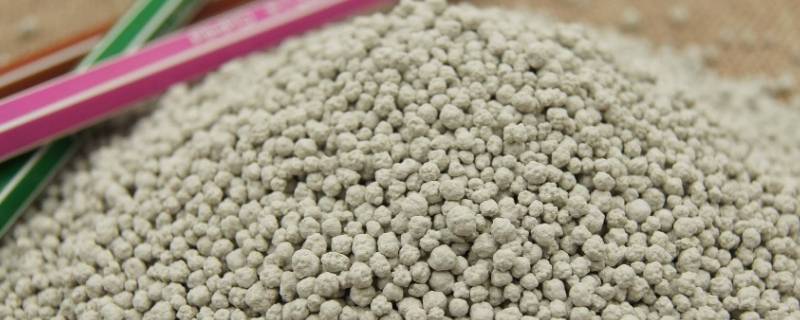 普通沙子如何变成猫砂 沙子可以作为猫砂吗