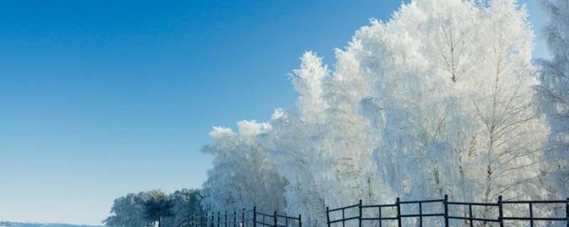 怎么形容下雪天的美景（形容雪天的美景句子）