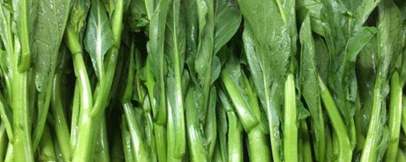 菜笕是什么（菜蕻是什么）