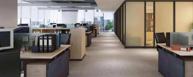 办公室有老鼠怎么办（办公室老鼠怎么根治?）