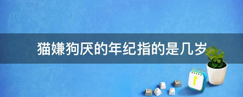 猫嫌狗厌的年纪指的是几岁 猫嫌狗不理的年纪是几岁