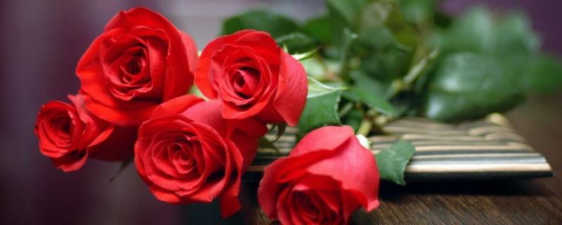 送三朵玫瑰花是什么意思（女人送三朵玫瑰花是什么意思）