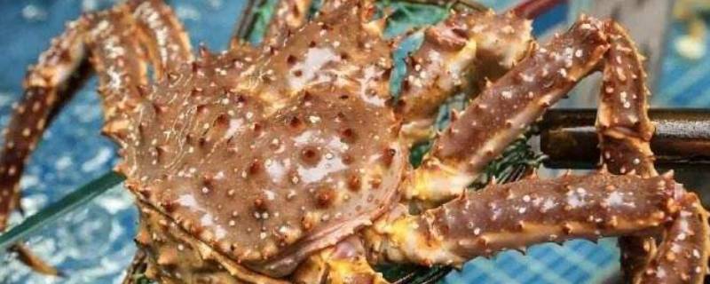 帝王蟹可以放多久（帝王蟹存放多久后就不能吃了）