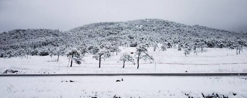 看雪去哪个城市 看雪应该去哪个城市