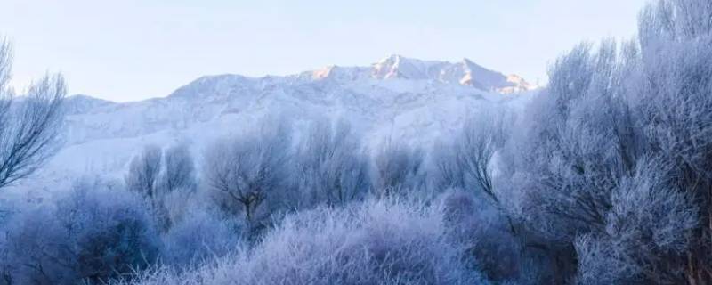 雪前冷还是雪后冷（下雪前冷还是下雪后冷）