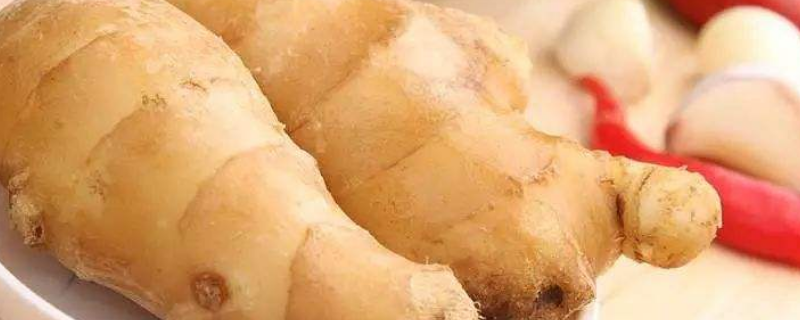 姜能放冰箱冷藏吗（姜可以放冰箱保存吗）