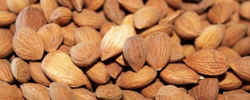 杏仁是种子吗（杏仁是果实还是种子）